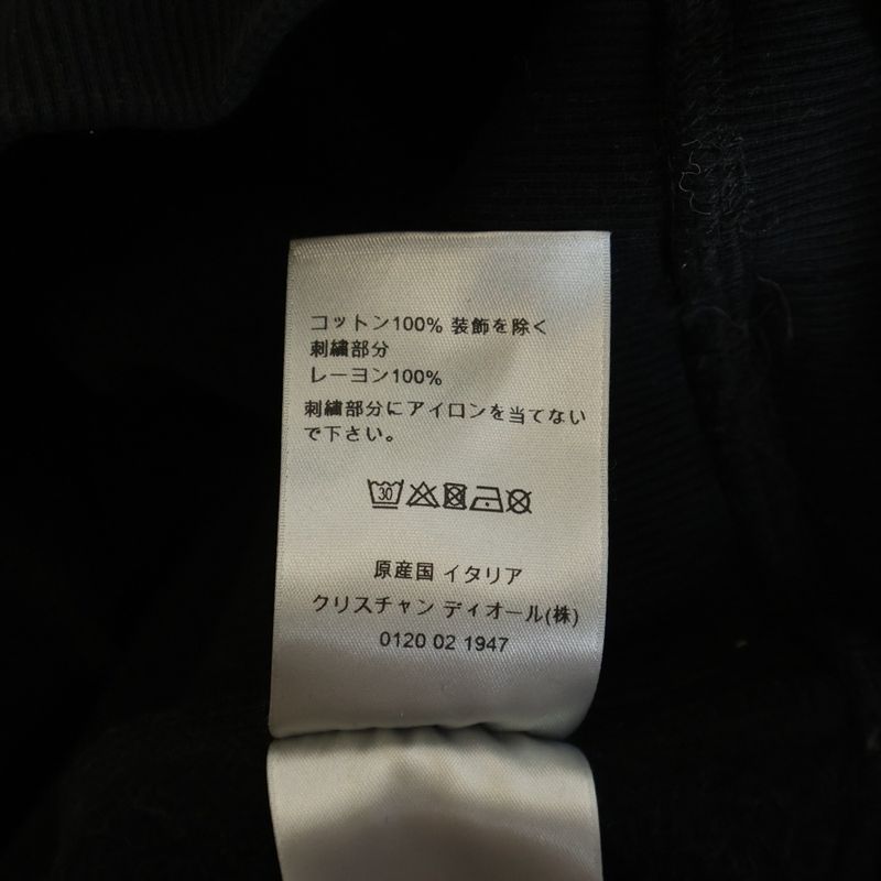 Dior Peter Doig Front Logo Embroidery Pullover Hoodie Sweatshir