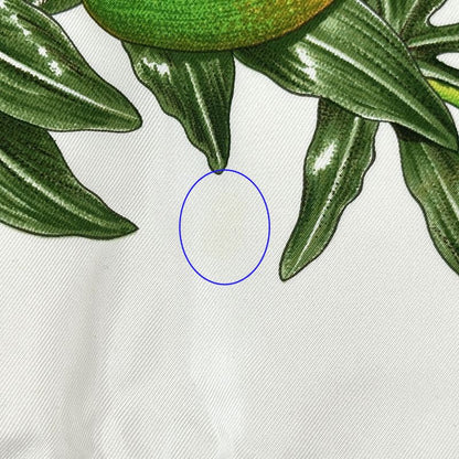 Hermes Scarf Carre 90 Passiflores Passion Flower Silk White