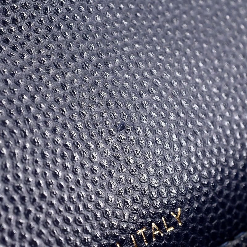 Chanel Chain Wallet Flap Phone Case