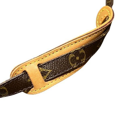 Louis Vuitton Monogram Danube Shoulder Bag