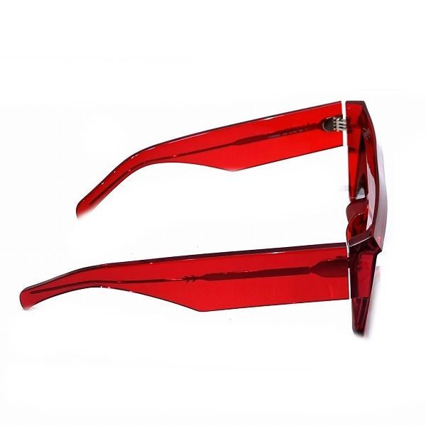 Celine Plastic Red Brown