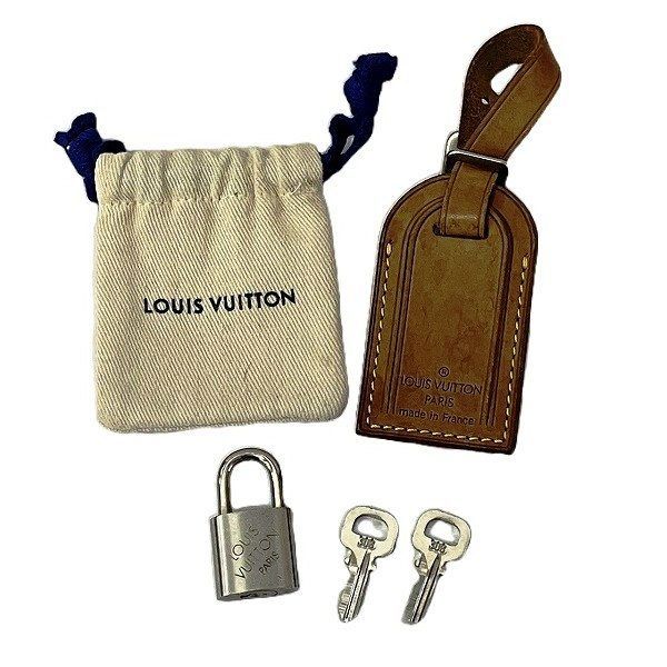 Louis Vuitton Damier Geant Atakan Boston Bag