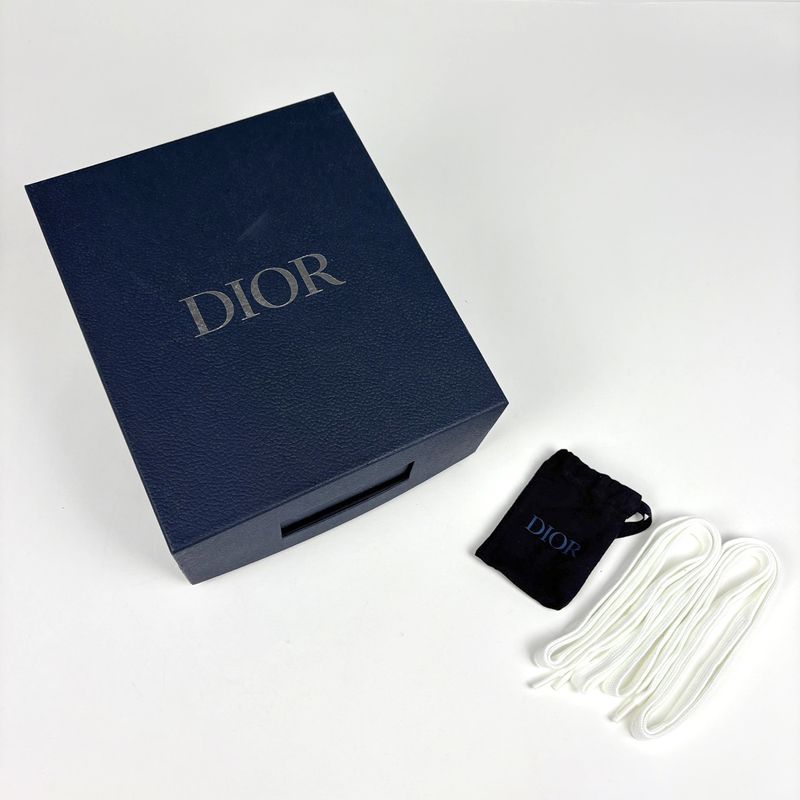 Dior Oblique Sneakers Skater Canvas Beige