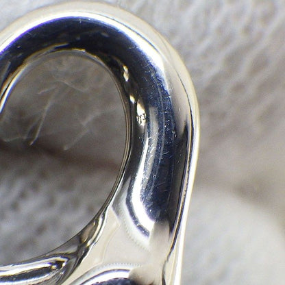 Tiffany & Co. Earrings Open Width Model