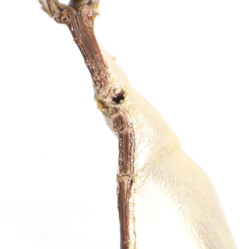 Gucci Bamboo 001 Leather Nylon Shoulder Bag Hand Gold