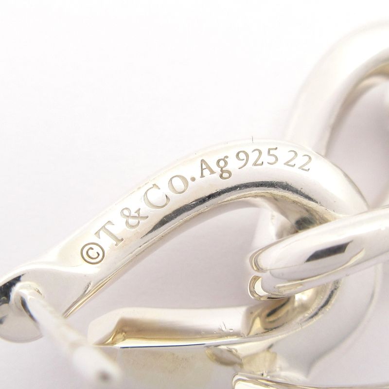 Tiffany & Co. Earrings Forge Drop Link Silver