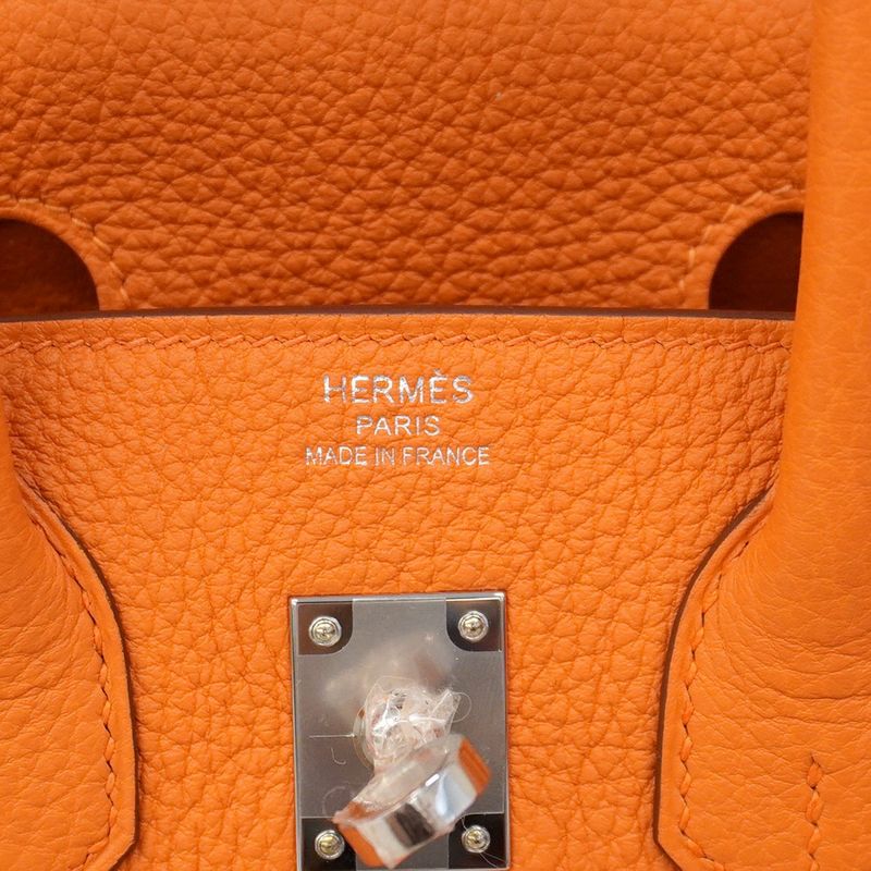 Hermes Handbag Birkin 25 Togo Orange Silver