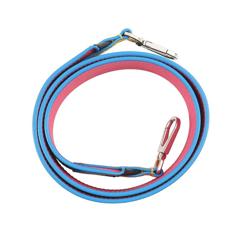 Louis Vuitton Shoulder Strap Epi