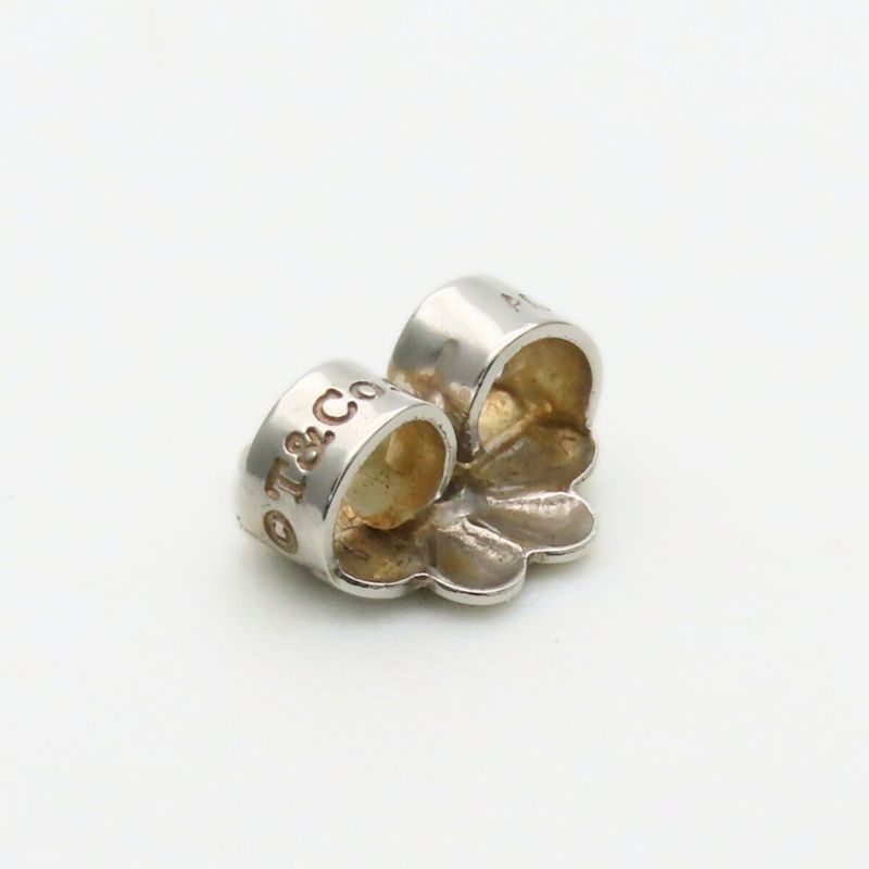Tiffany & Co. Earrings Enchanted Silver