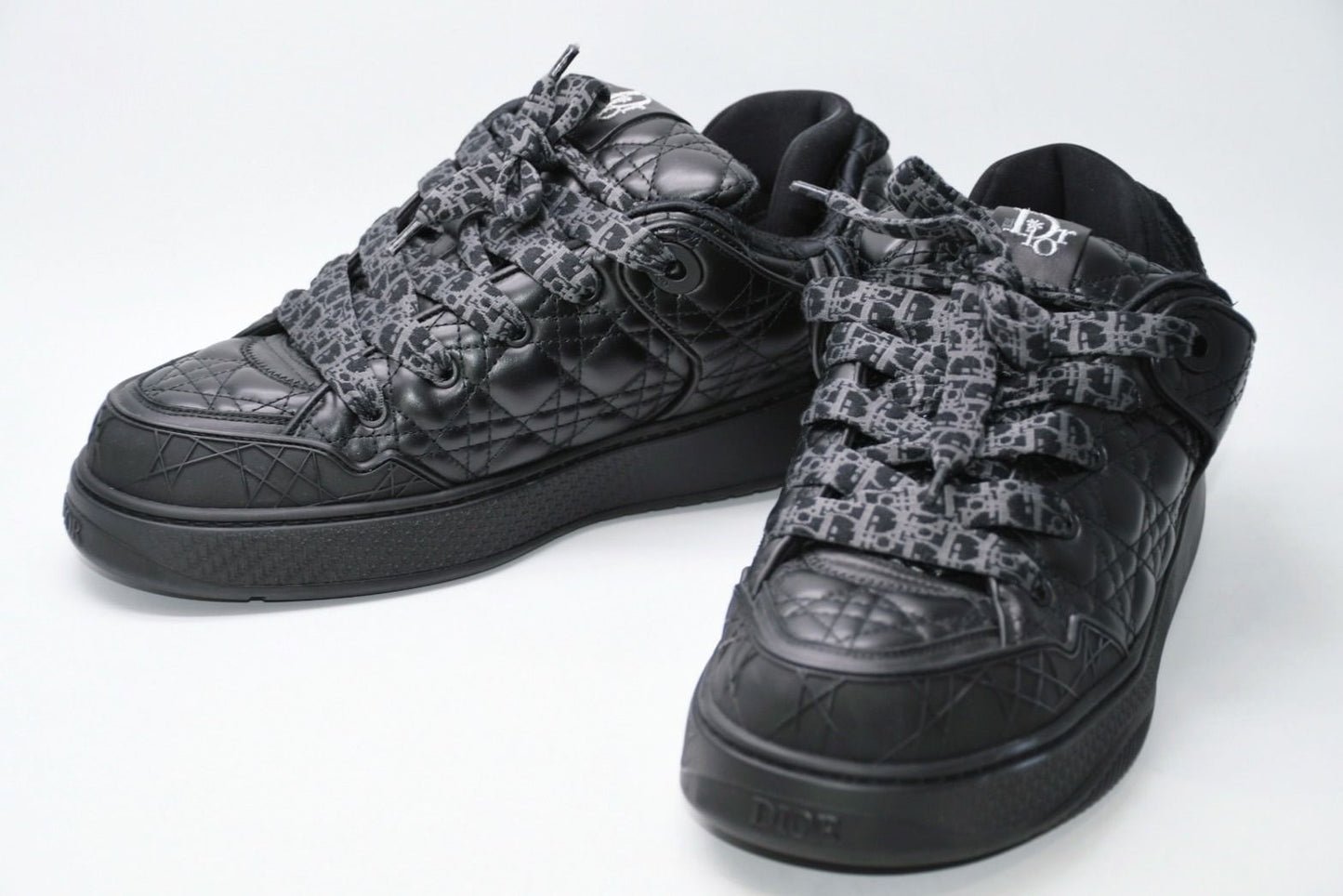 Dior Erl Skater Sneakers Cannage Calfskin