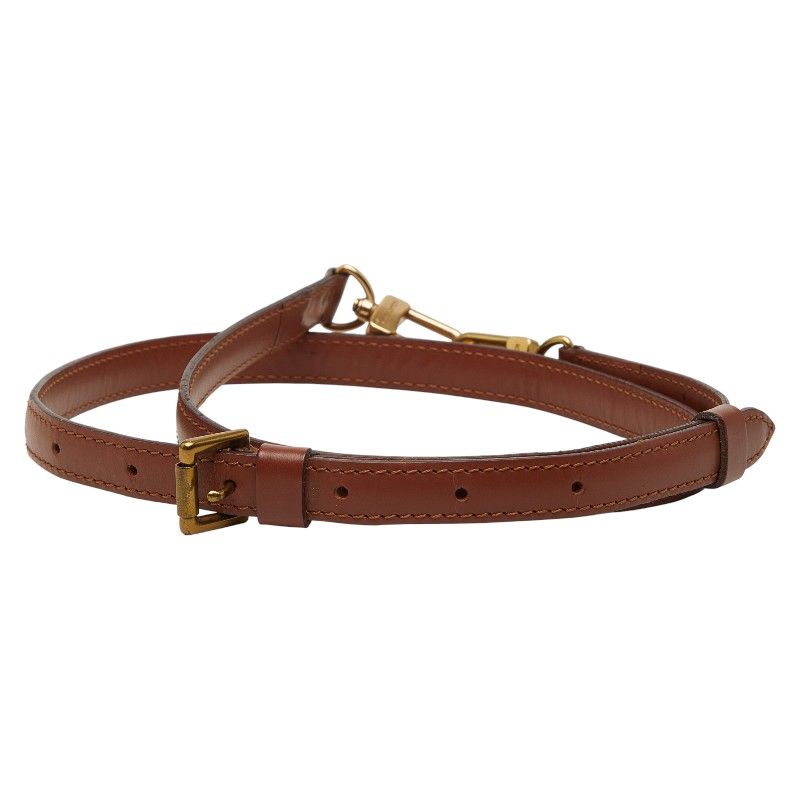 Louis Vuitton Brown Leather
