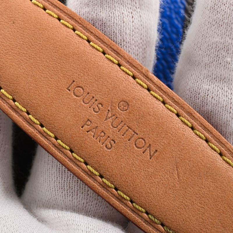 Louis Vuitton Belt Bag Leather