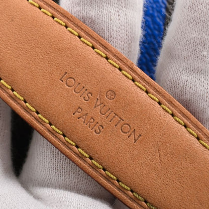 Louis Vuitton Belt Bag Leather