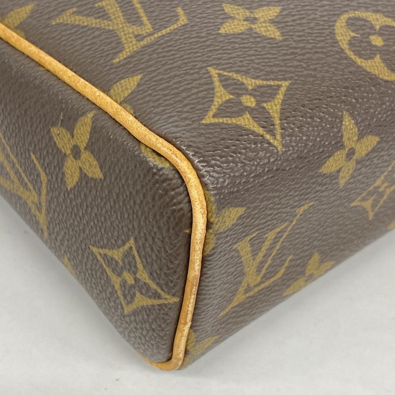 Louis Vuitton Handbag Monogram Recital Brown