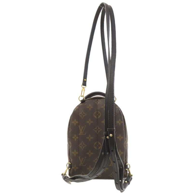 Louis Vuitton Palm Spring Mini Print Backpack Monogram Canvas