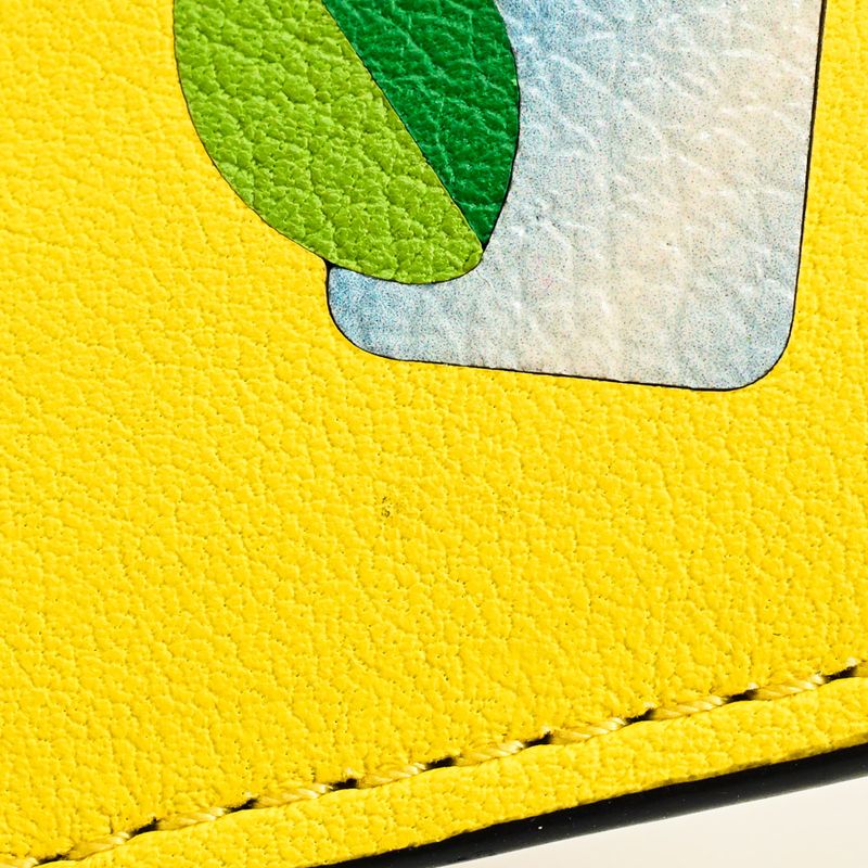 Loewe Card Case Leather Yellow
