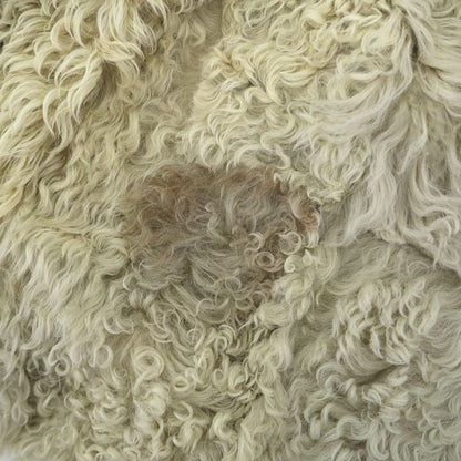 Loewe Mouton Coat Ivory 40