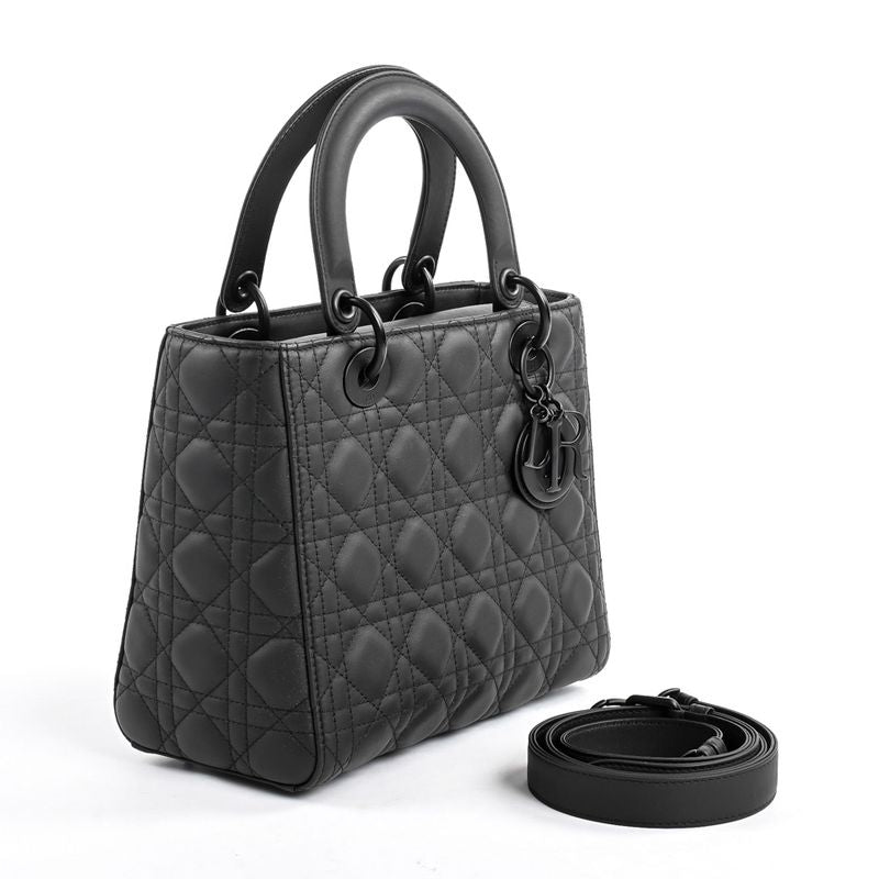 Dior Handbag Lady Dior