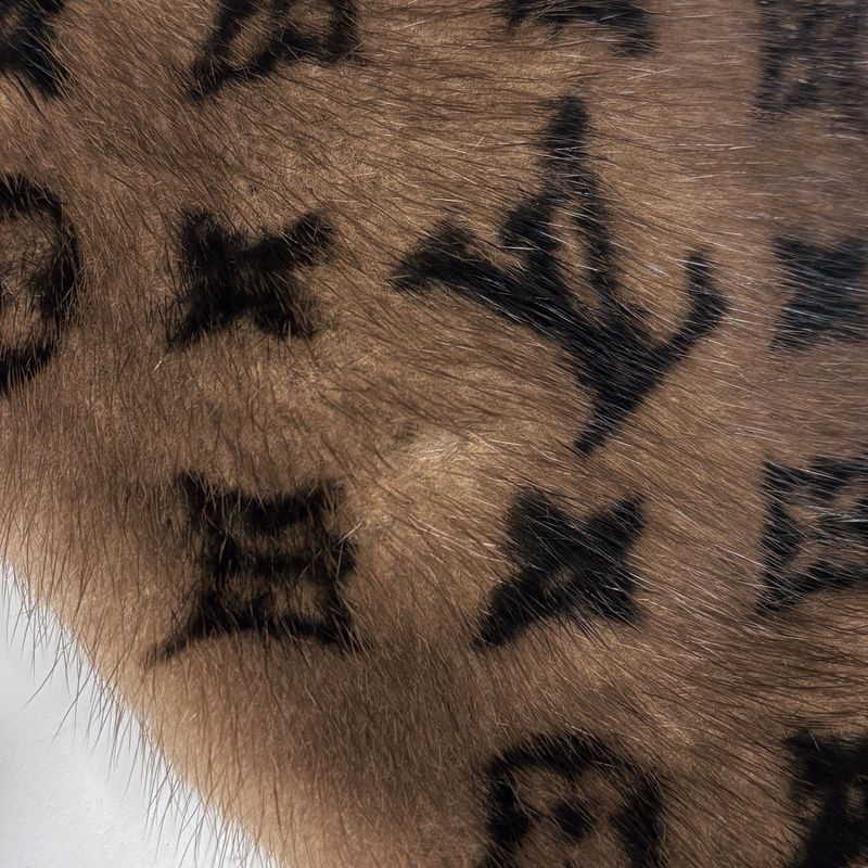 Louis Vuitton Flower Motif Scarf Echarpe Monogram