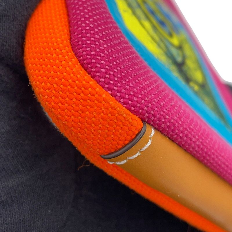 Loewe Neck Pouch Airoewe Nature Case Orange Multicolor