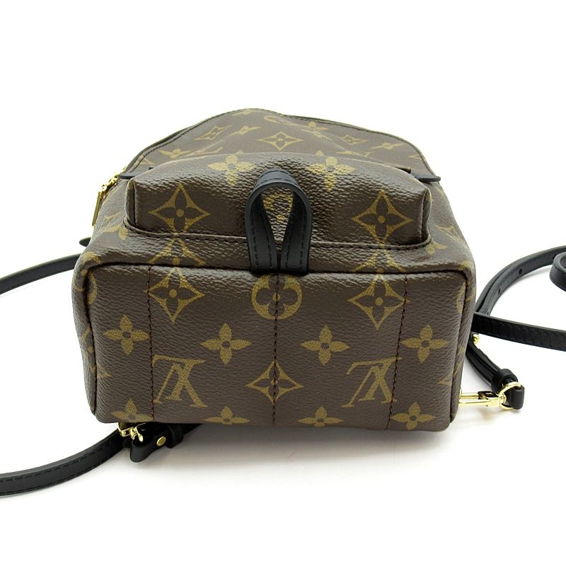 Louis Vuitton Palm Springs Backpack Mini Monogram