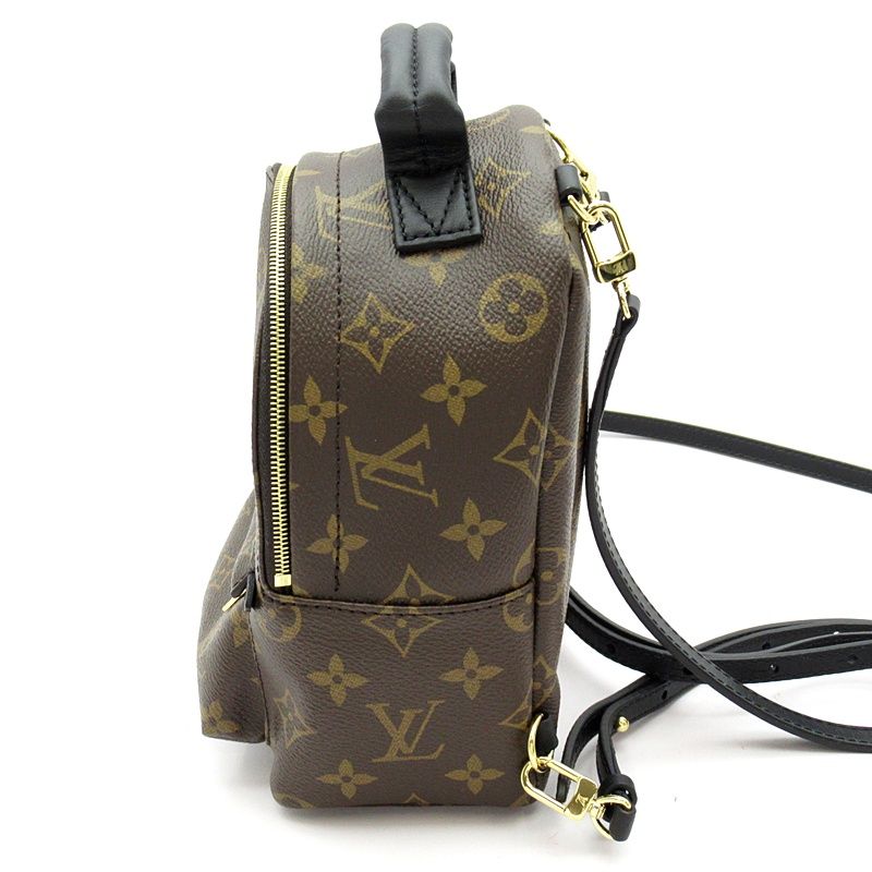 Louis Vuitton Palm Springs Backpack Mini Monogram