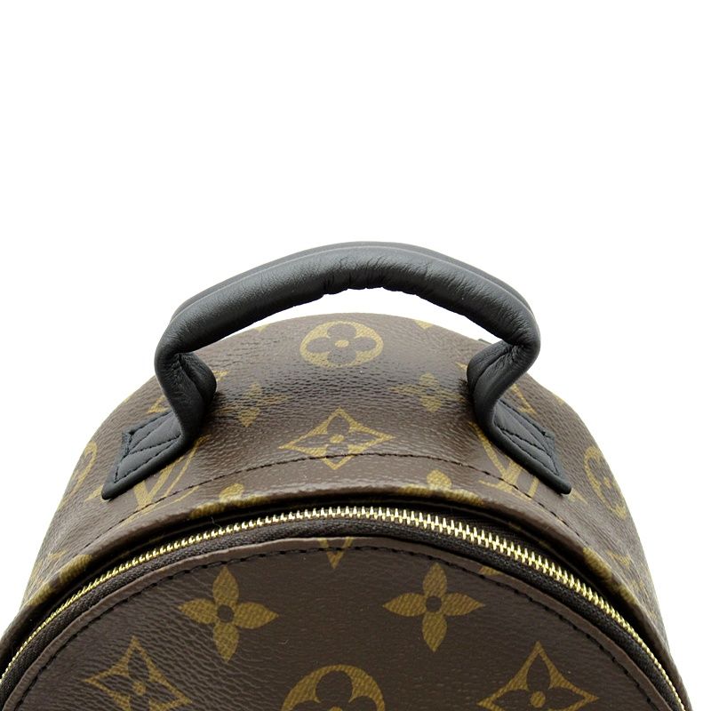 Louis Vuitton Palm Springs Backpack Mini Monogram