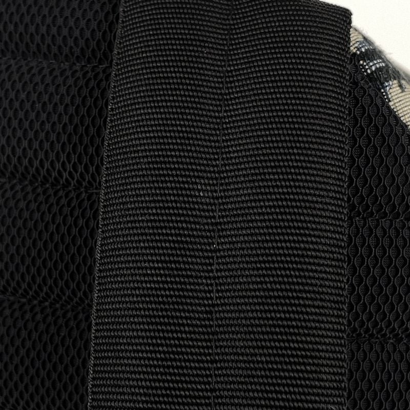Dior Trotter Pattern Backpack Canvas Blue - Black