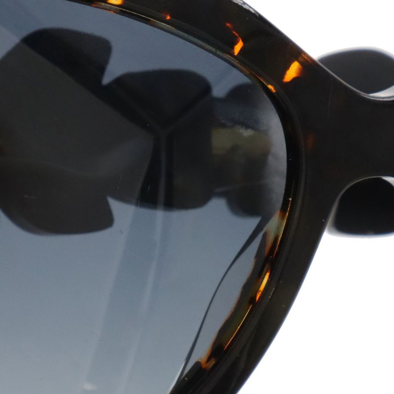 Fendi Sunglasses Special Edition Blue Gradation