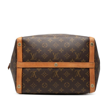 Louis Vuitton Monogram Male MM Brown Leather Handbag