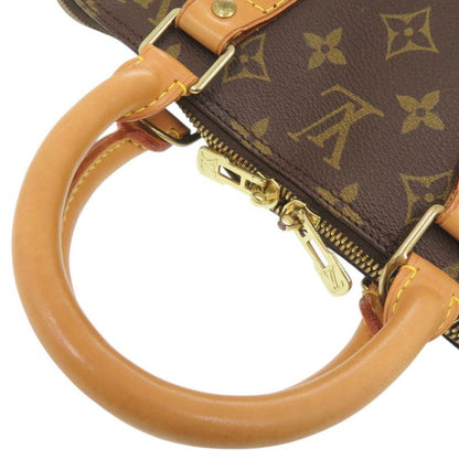 Louis Vuitton Alma Monogram Handbag