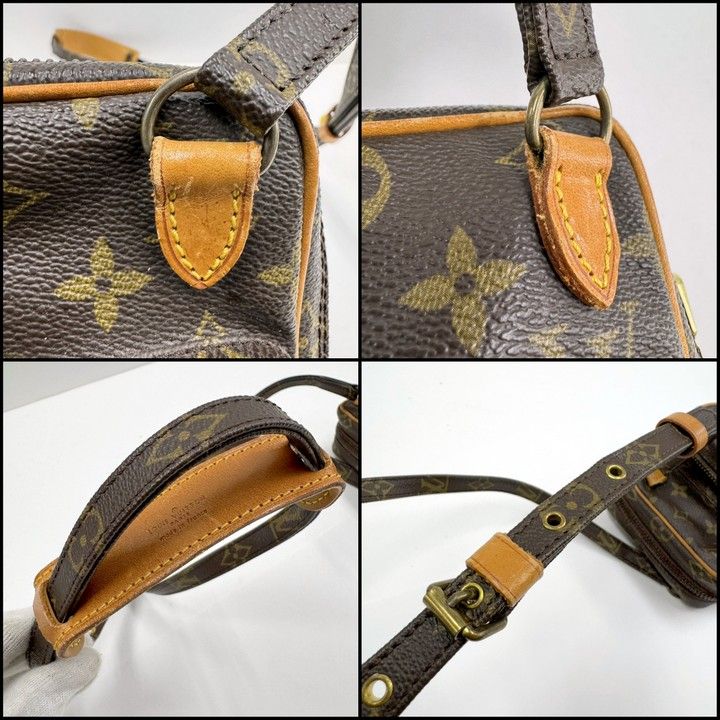Louis Vuitton Mini Amazon Shoulder Bag Monogram