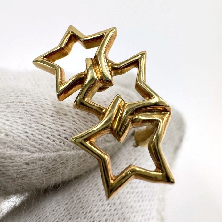 Tiffany & Co. Star Motif Earrings