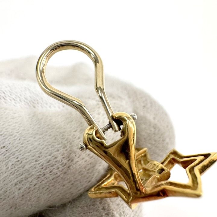 Tiffany & Co. Star Motif Earrings