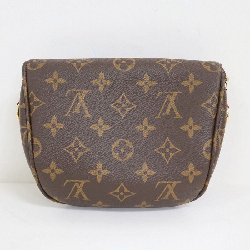 Louis Vuitton Mini Bum Bag Monogram