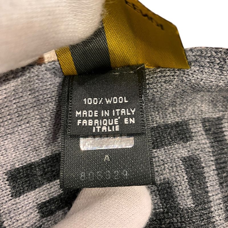 Fendi Scarf Wool Gray