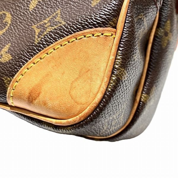 Louis Vuitton Monogram Amazon Shoulder Bag