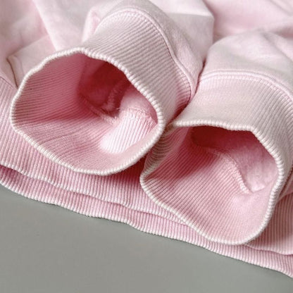 Dior CD Icon Hoodie XS Pink