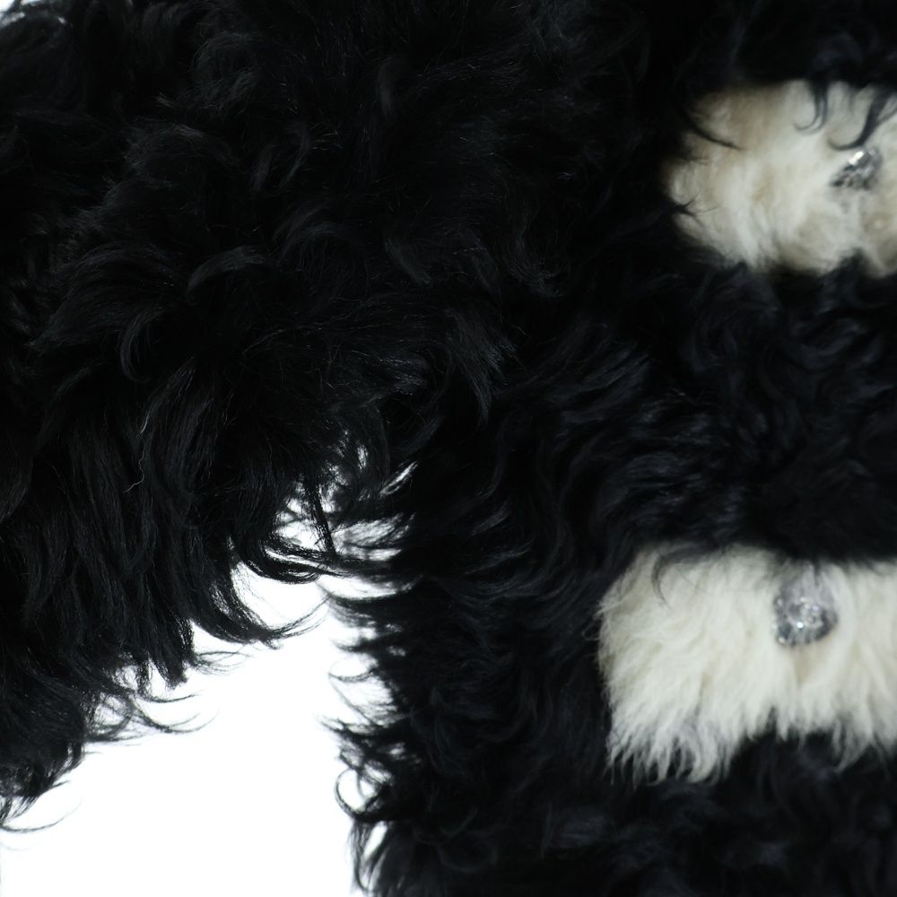 Chanel CC Logo Button Fur Jacket Shearling Black White — view 3
