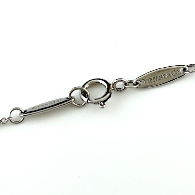 Tiffany & Co by the Yard Necklace Platinum Pendant