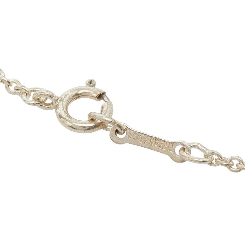Tiffany & Co Apple Long Necklace