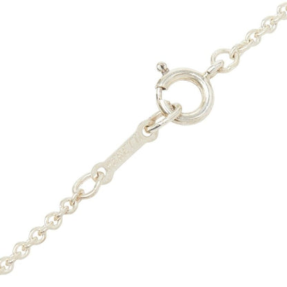 Tiffany & Co Apple Long Necklace