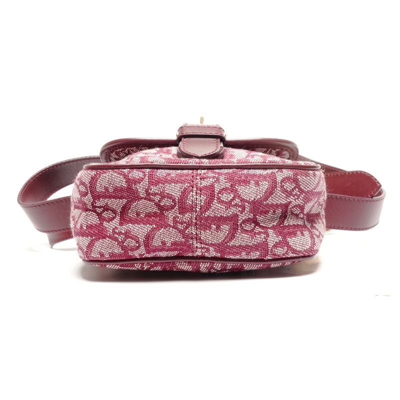 Dior Shoulder Bag Trotter Canvas