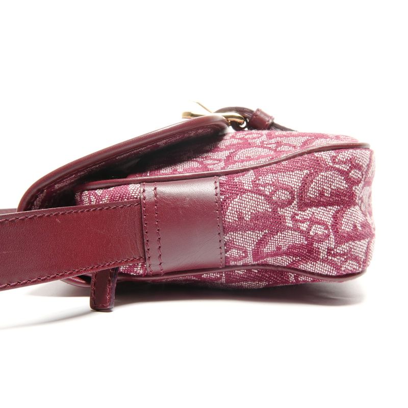 Dior Shoulder Bag Trotter Canvas