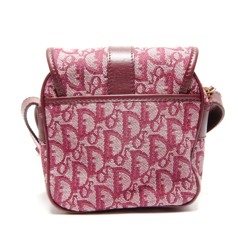 Dior Shoulder Bag Trotter Canvas