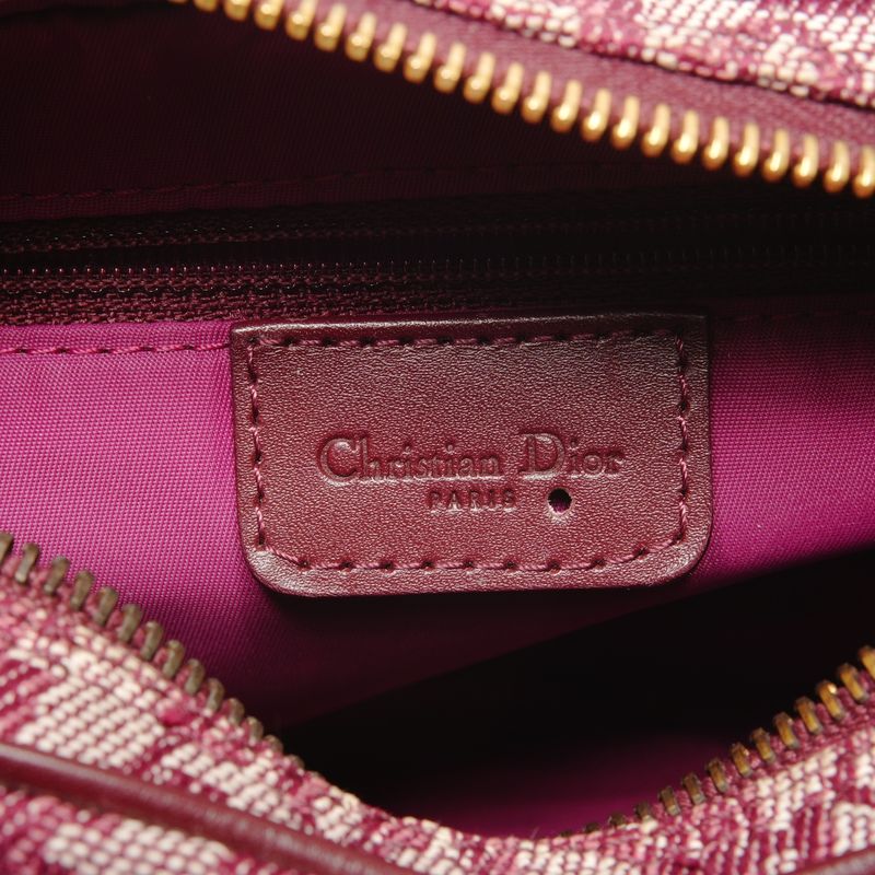 Dior Shoulder Bag Trotter Canvas