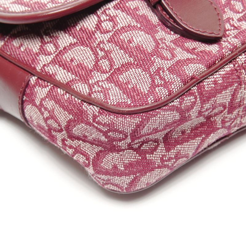 Dior Shoulder Bag Trotter Canvas
