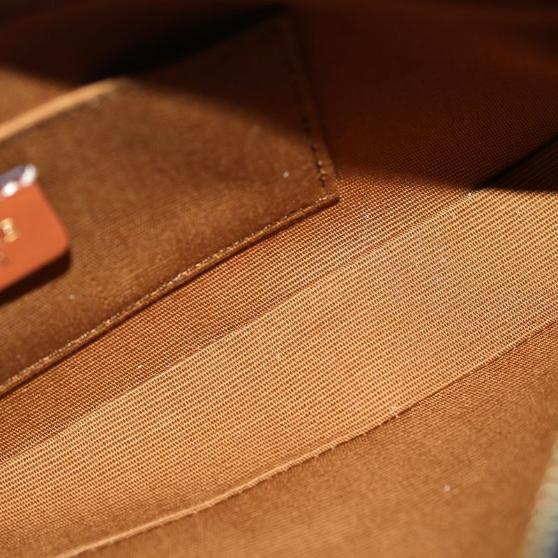 Celine Cuir Triomphe Logo Embroidery Leather Mini Camera Bag Brown