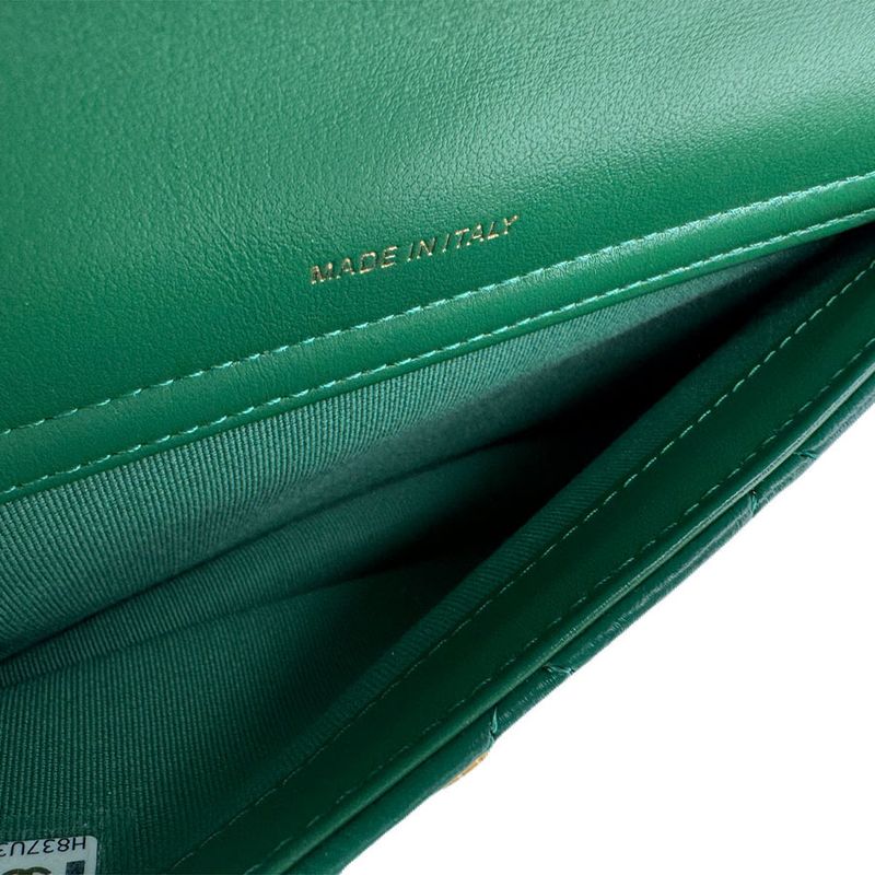 Chanel Chain Wallet Shoulder Bag