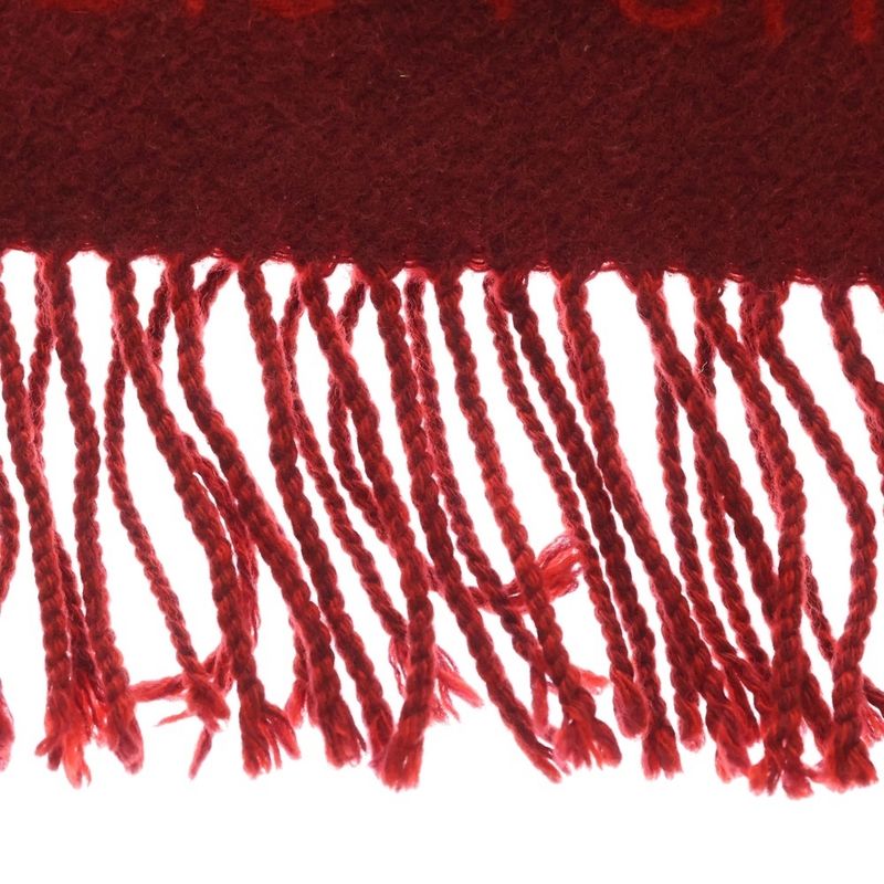 Louis Vuitton Reykjavik Gradient Monogram Cashmere Scarf Red